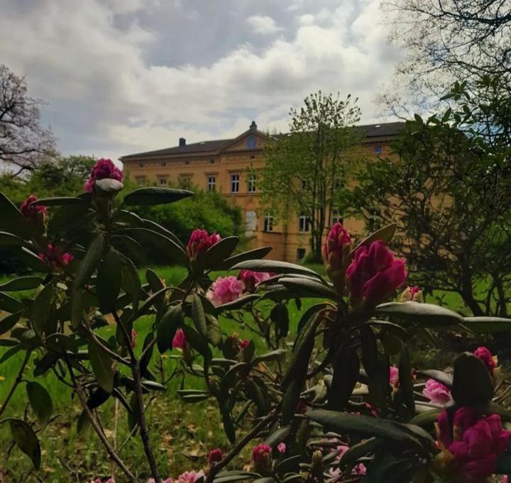 Schloss Tressow Bobitz Dış mekan fotoğraf